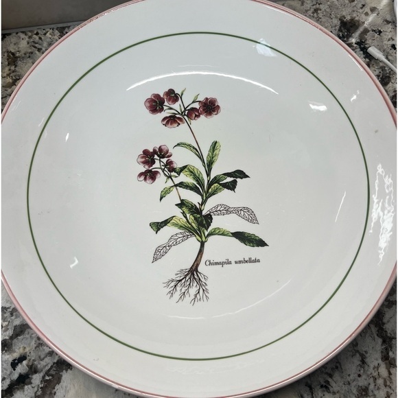 Vintage La Primula Floral Serving Pasta Bowl‎ Italy - Picture 1 of 8